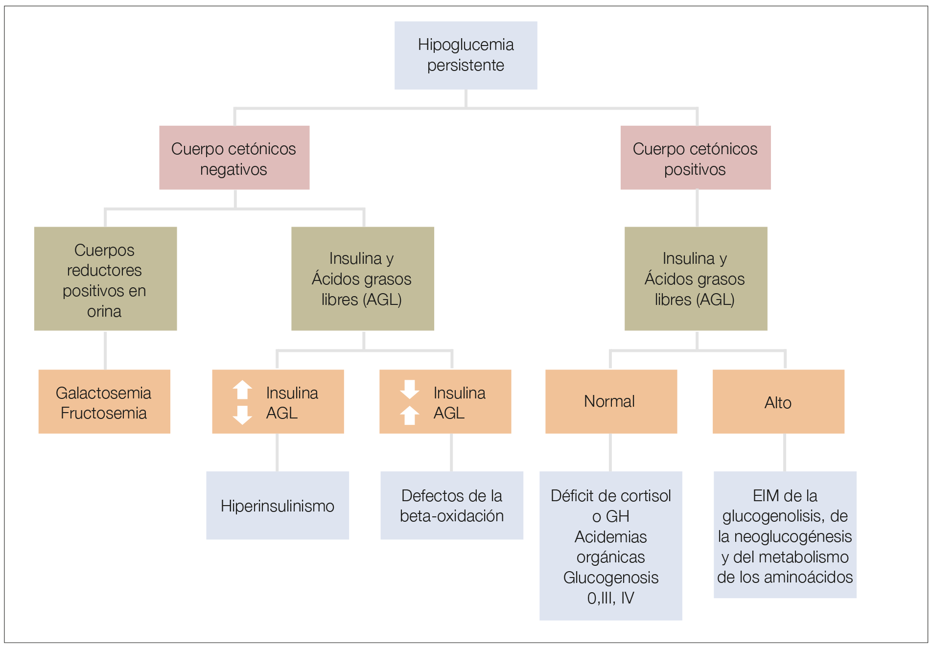 Figura Algoritmo Diagn Stico Eim Errores Innatos Del