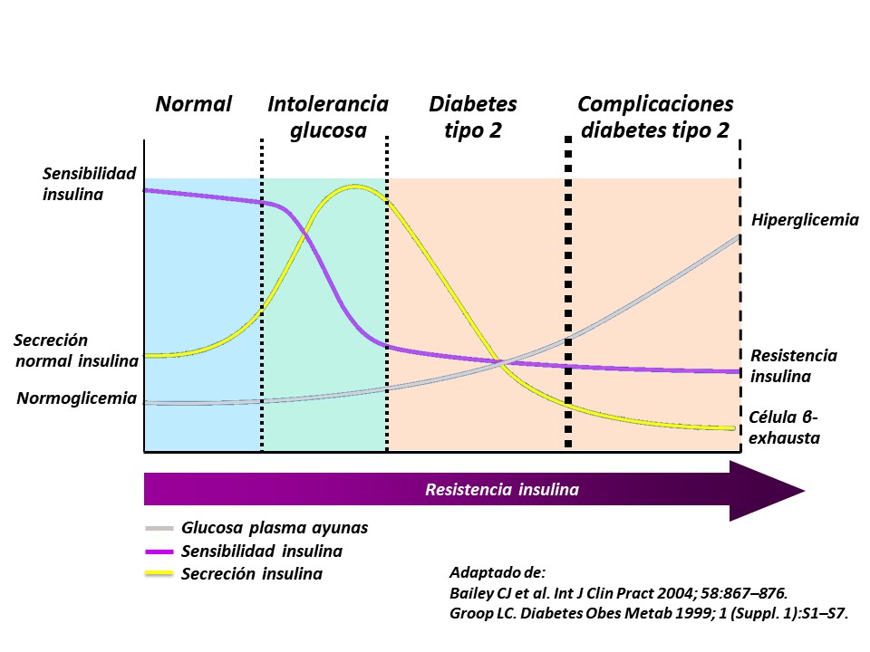 Historia Natural De La Enfermedad Diabetes Tipo I Doc